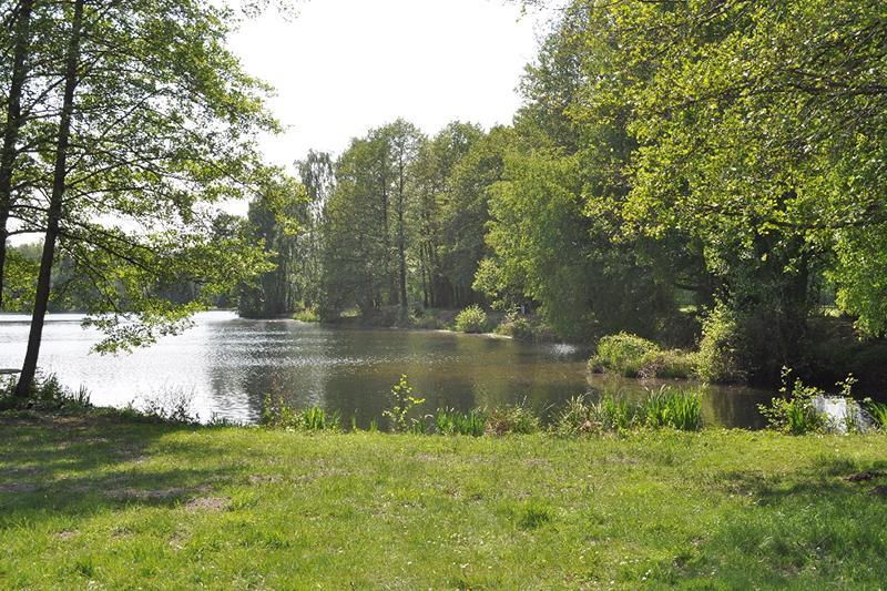 Ferienpark Tannenbruchsee 노이슈타트암루벤베르크 외부 사진